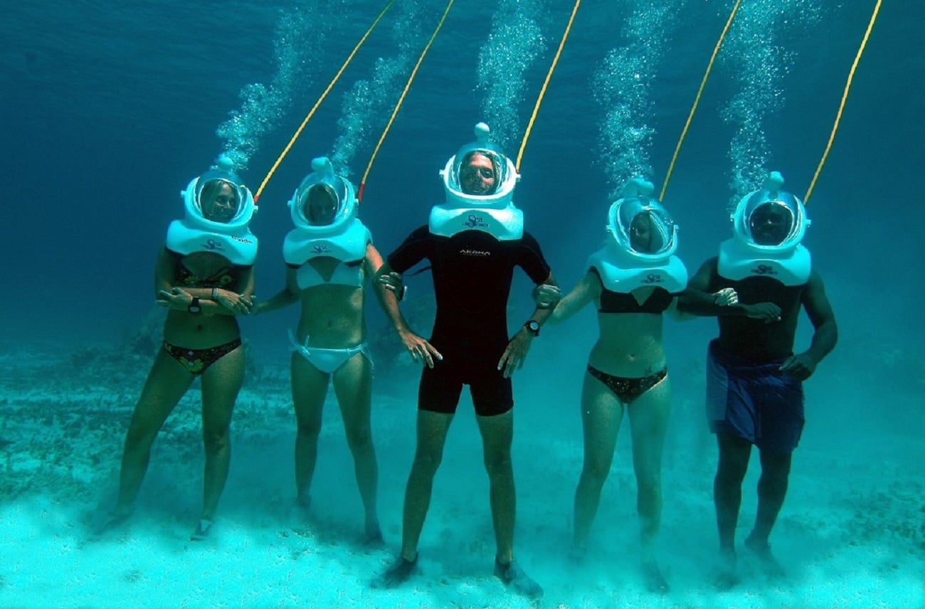 Fun Seaquarium from Punta Cana - Imagen 2