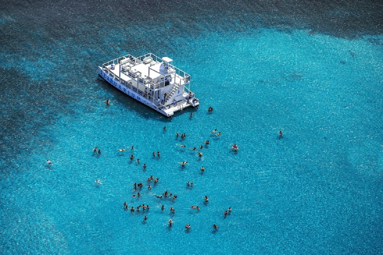 Fun Seaquarium from Punta Cana - Imagen 3