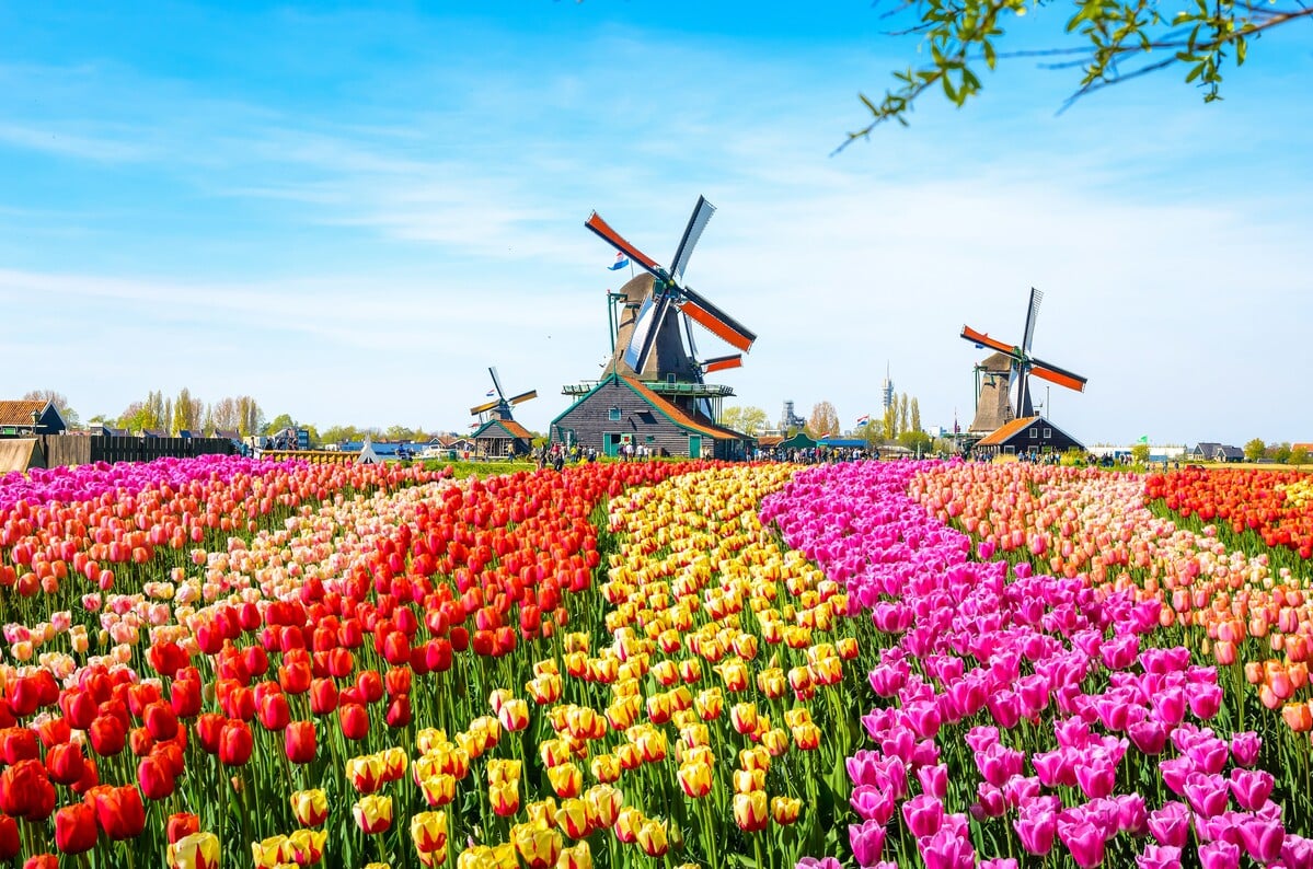 Go City Amsterdam: pase All-Inclusive - Imagen 4