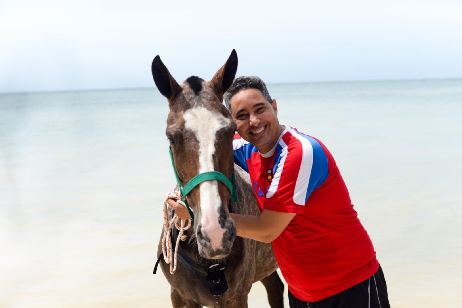 Swim Horse from Punta Cana - Imagen 3