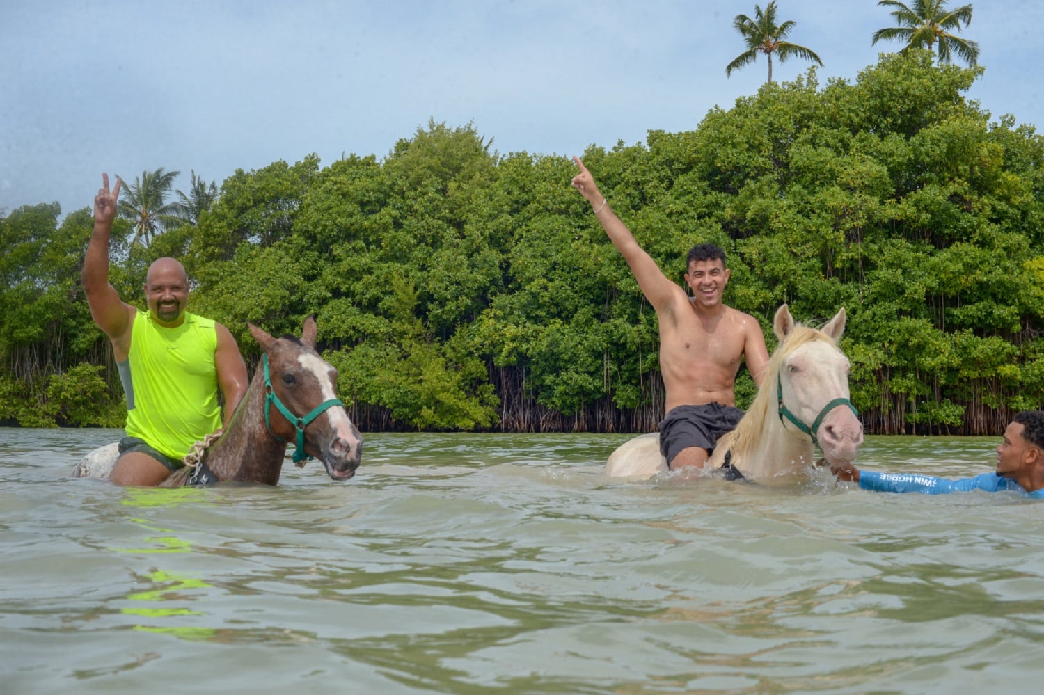 Swim Horse from Punta Cana - Imagen 4