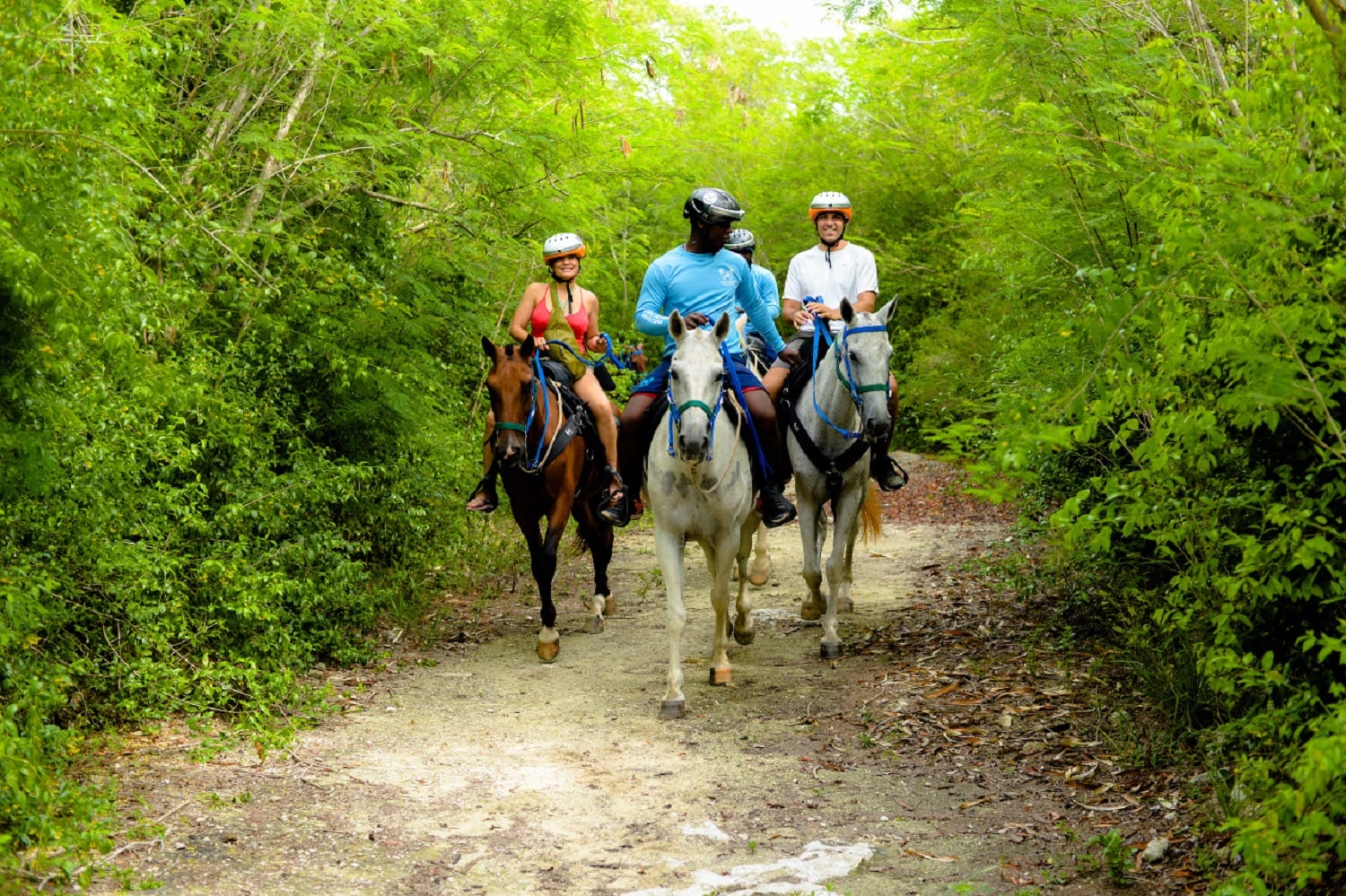 Swim Horse from Punta Cana - Imagen 2