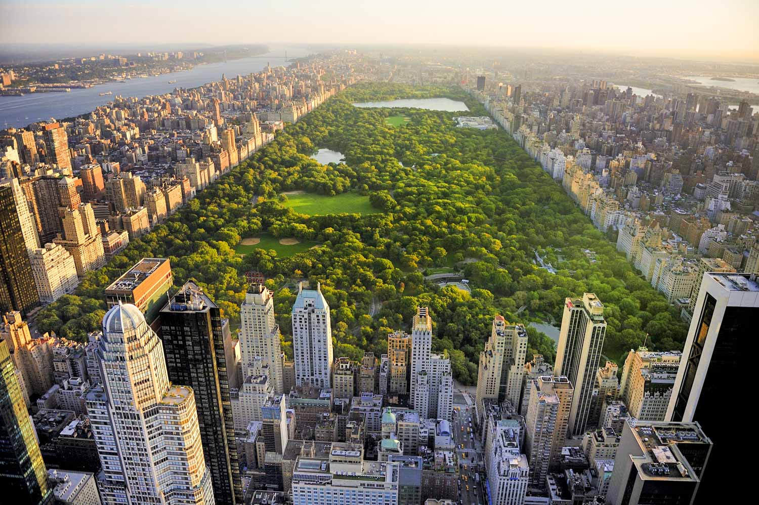 Electric bike rental in Central Park - Imagen 2