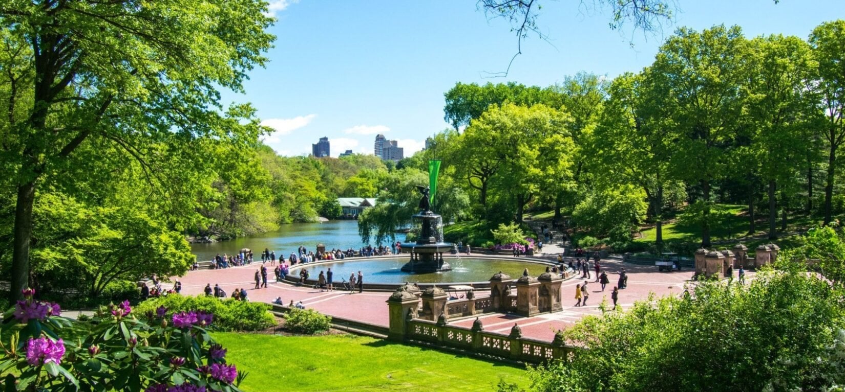 Electric bike rental in Central Park - Imagen 4