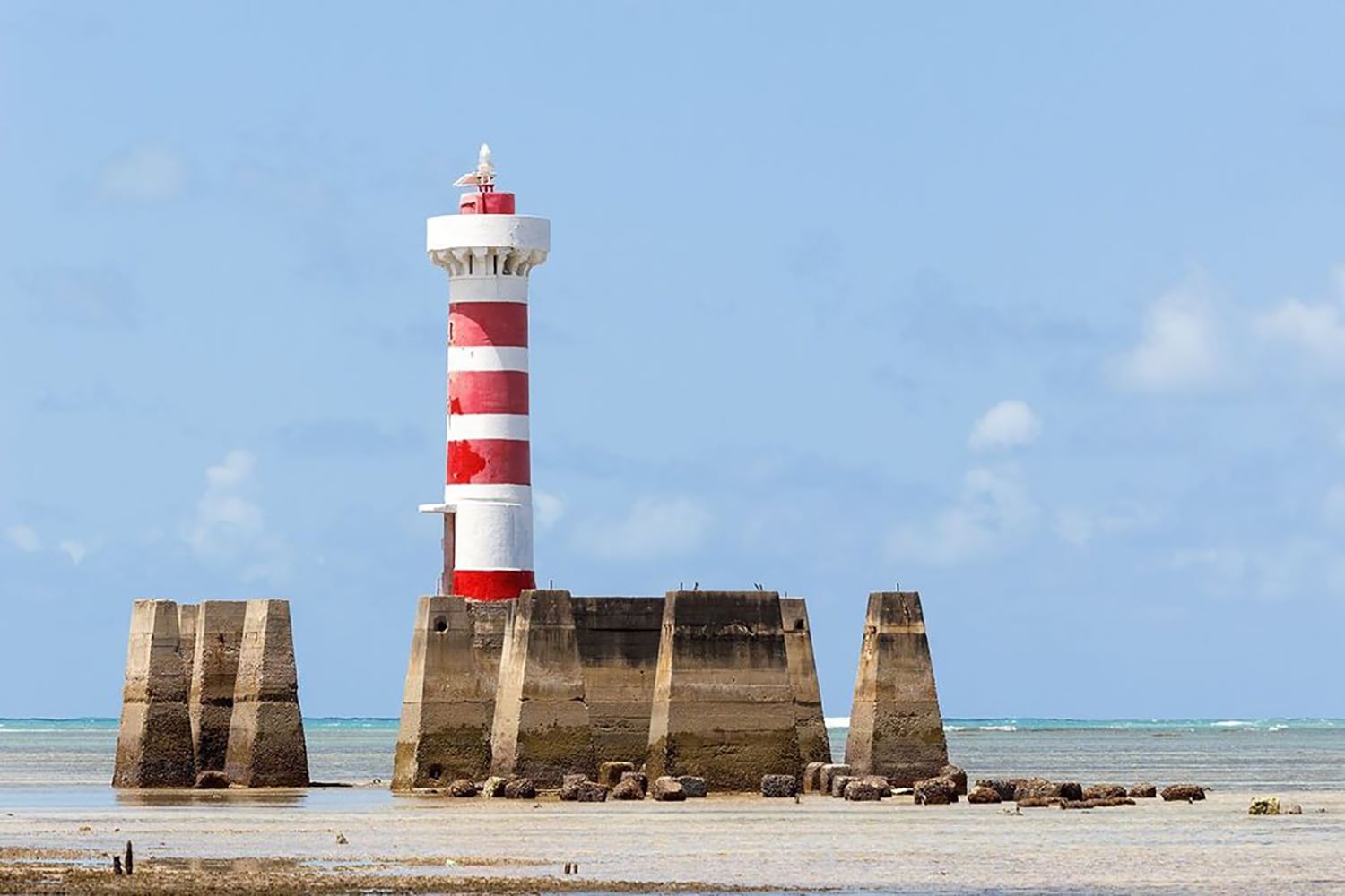 Costa Sur y Playa del Francés y City Tour - Imagen 2