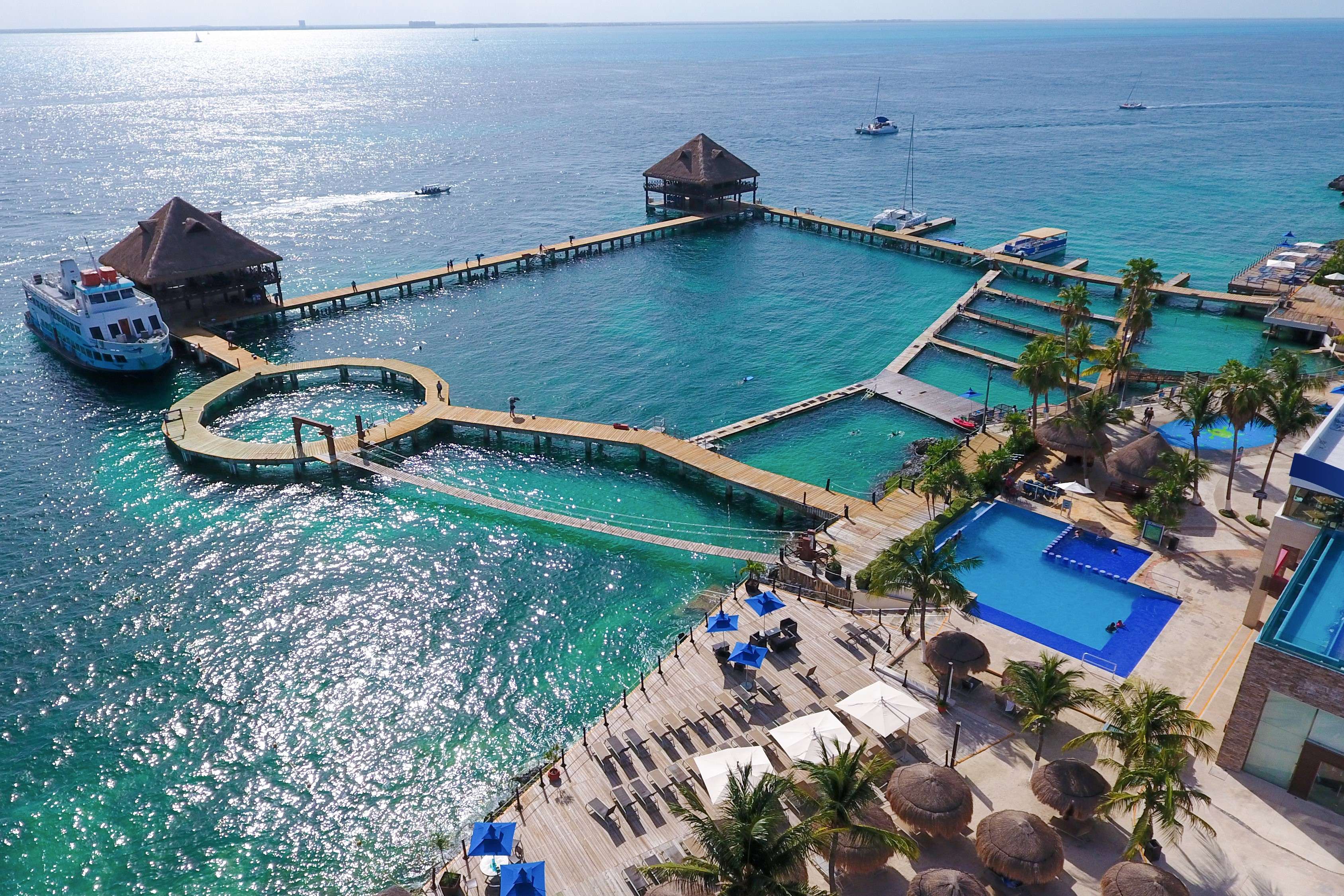 Dolphin encounter in Isla Mujeres - Imagen 3