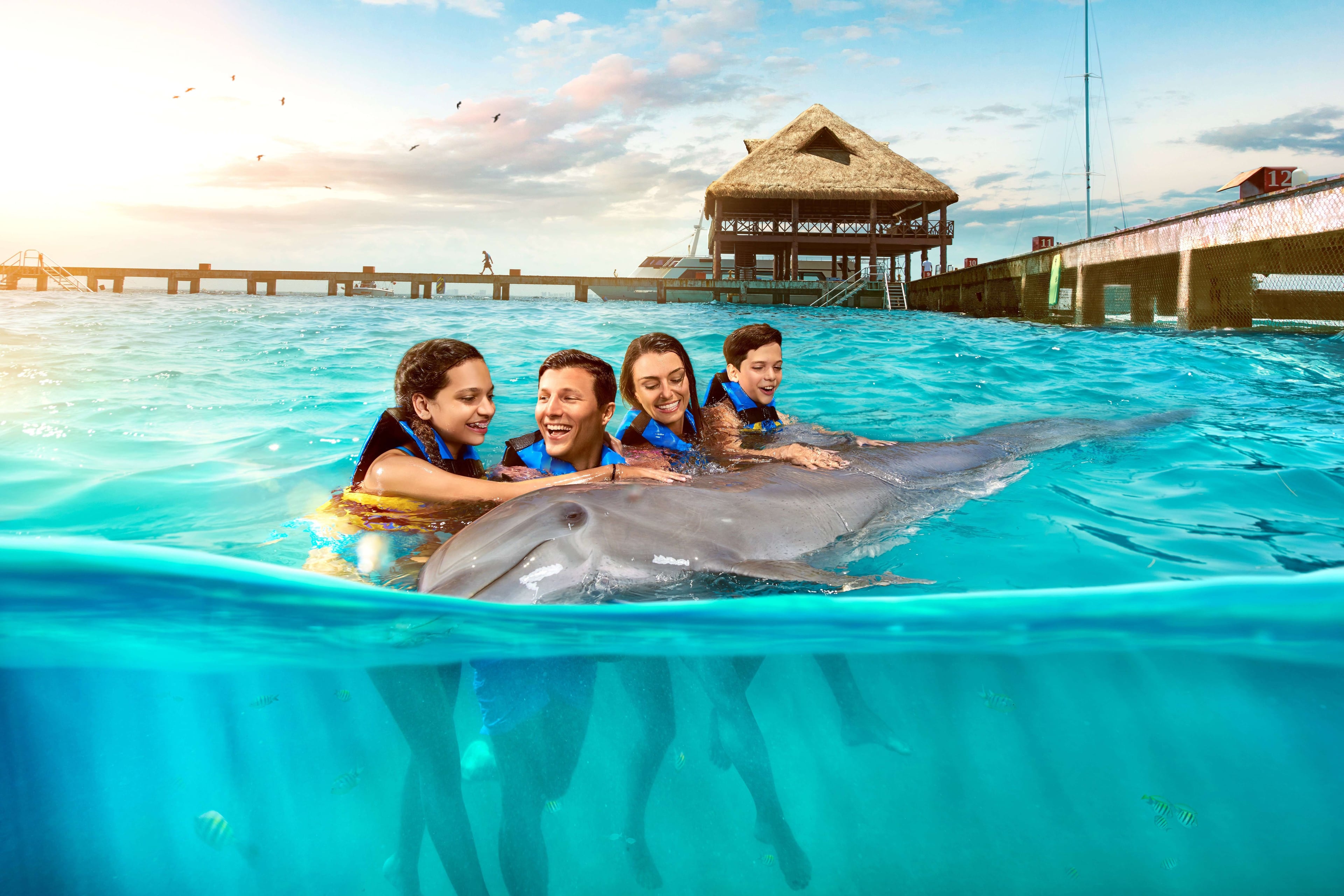 Dolphin encounter in Isla Mujeres - Imagen 4