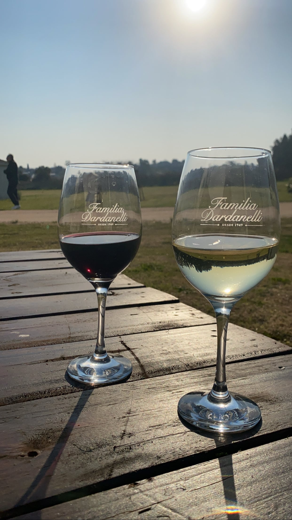 Dos bodegas: Dardanelli y Fallabrino - Imagen 3