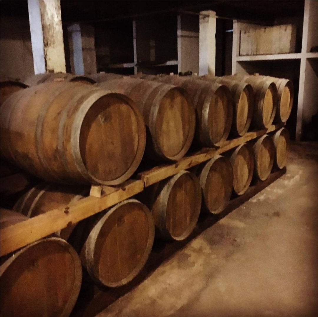 Dos bodegas: Dardanelli y Fallabrino - Imagen 2