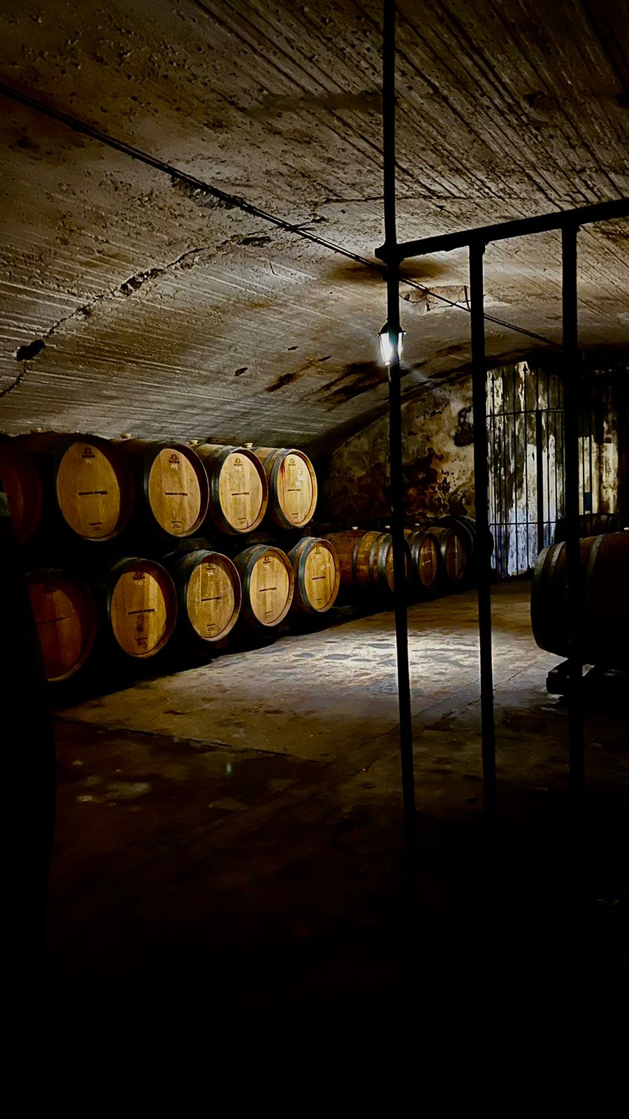 Dos bodegas: Dardanelli y Fallabrino - Imagen 4