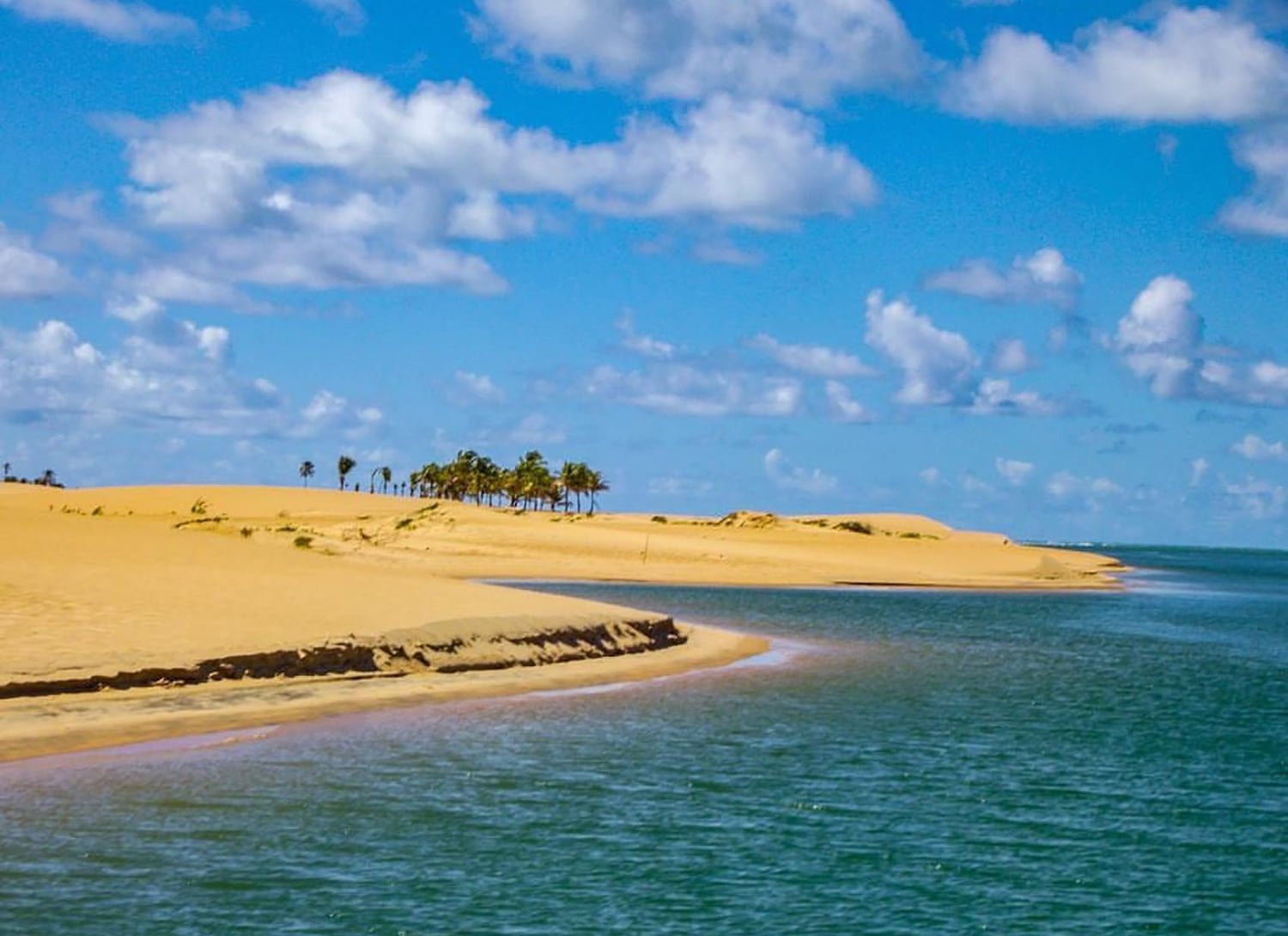 Paseo en barco por el río São Francisco - Imagen 2