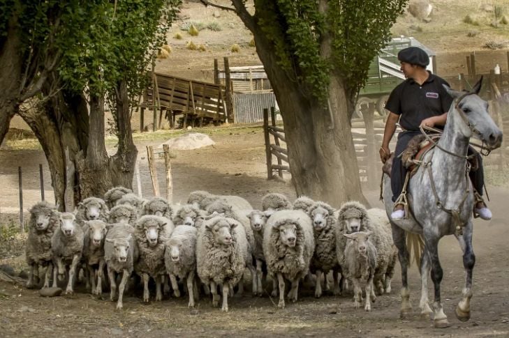 Vivência rural na Estancia 25 de Mayo - Imagen 4