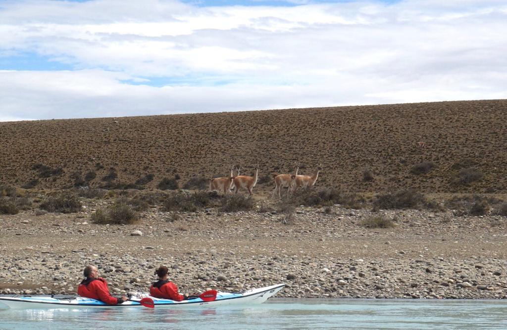 Darwin Experience: Kayaks, 4wd and Lunch - Imagen 4