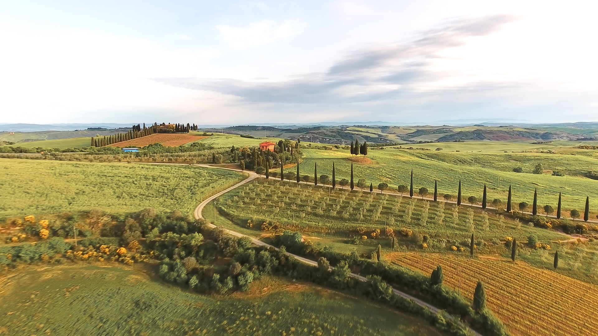 Siena, S. Gimignano, Pisa by Bus with Escort - Imagen 4