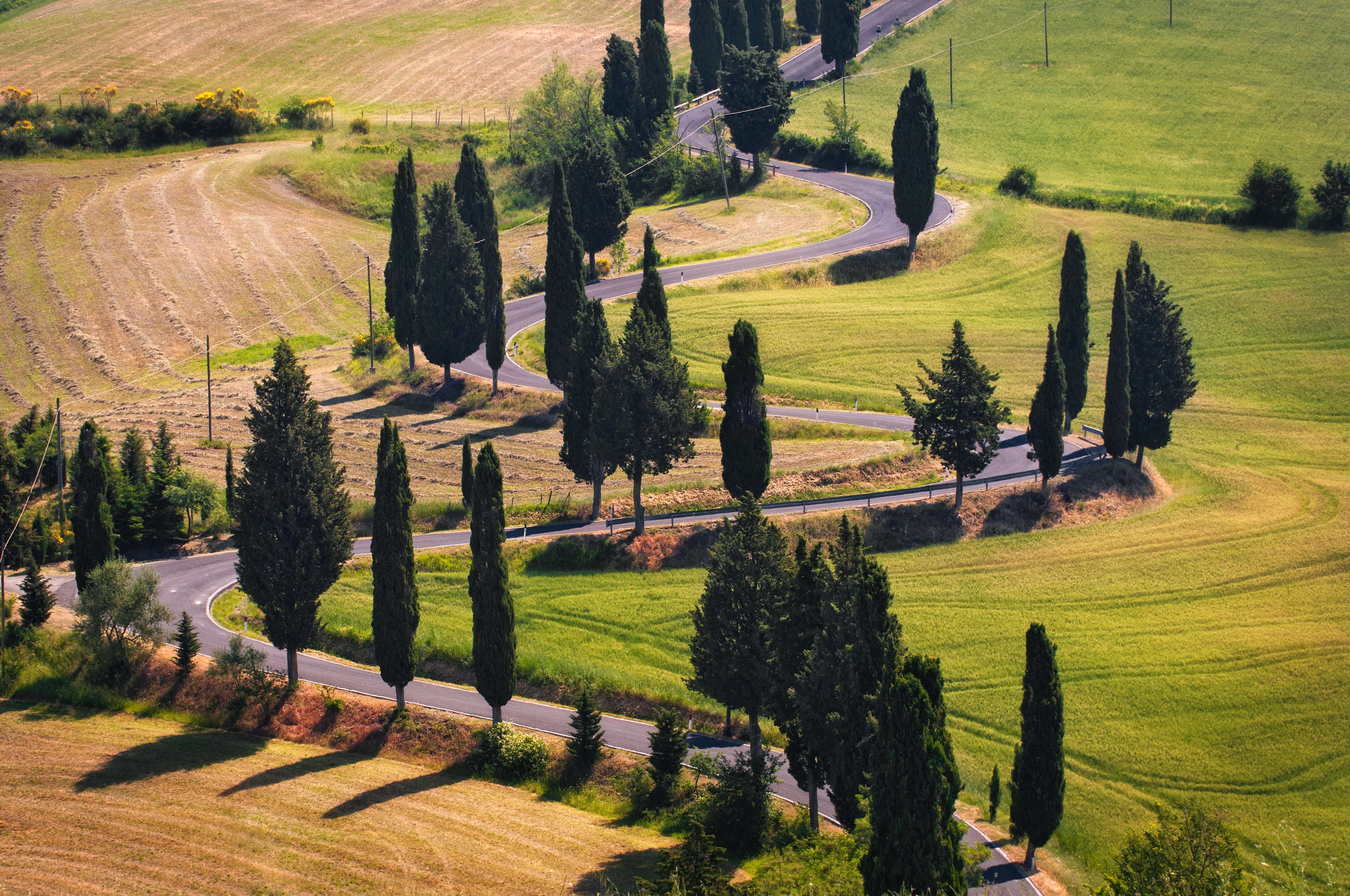 Chianti Classico, Montalcino, Montepulciano - Imagen 4