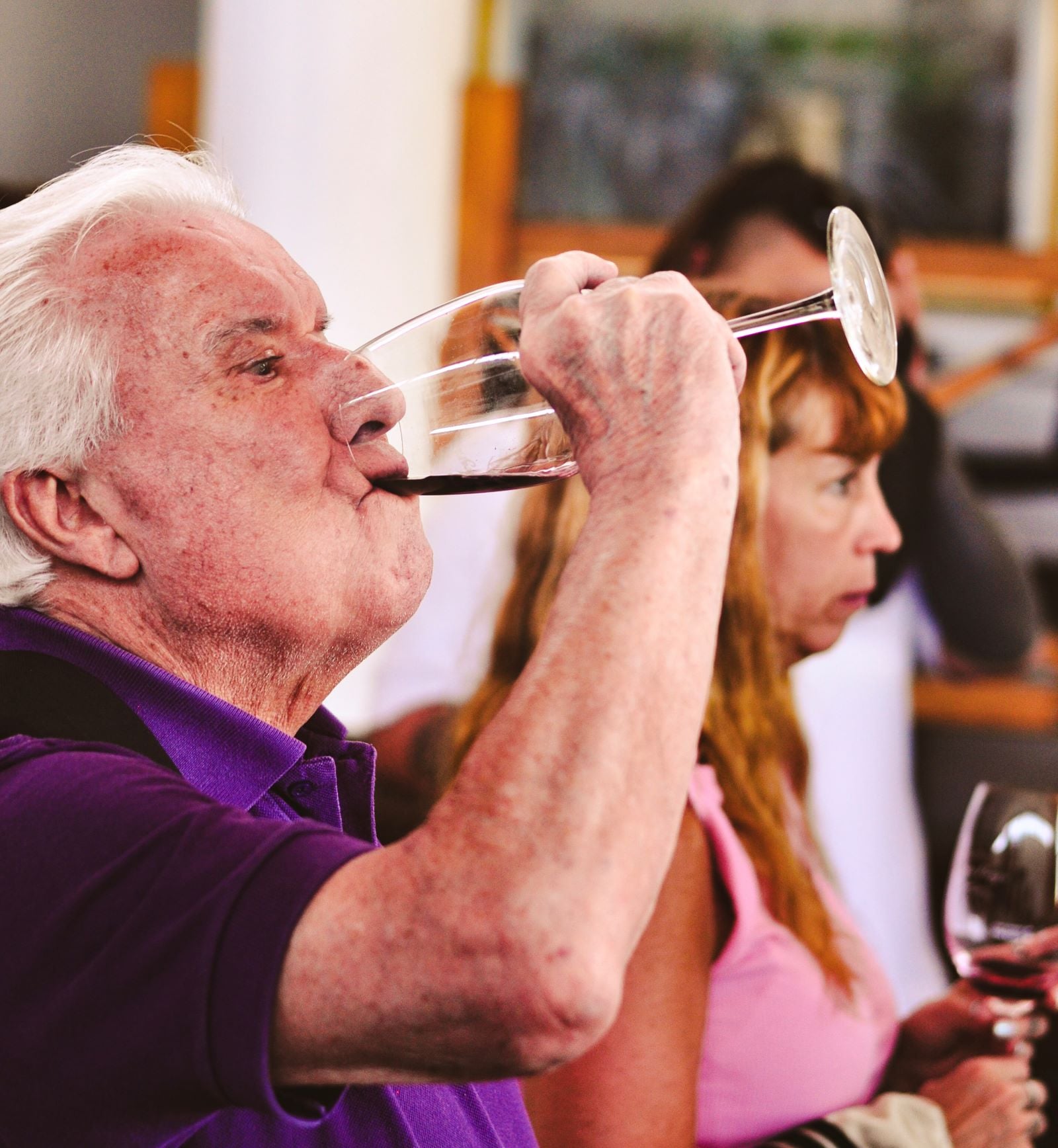 Uco Valley: Wine, Culture and History - Imagen 4