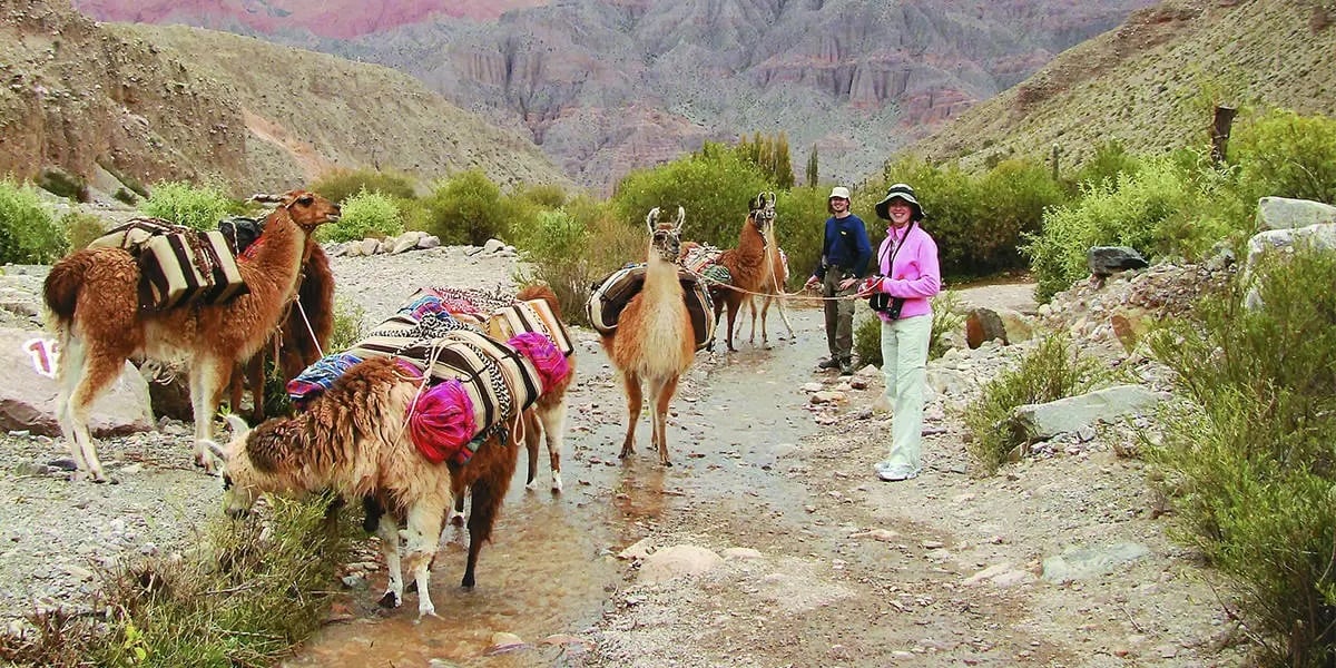 Caminhada com Lhamas de Purmamarca - Imagen 4