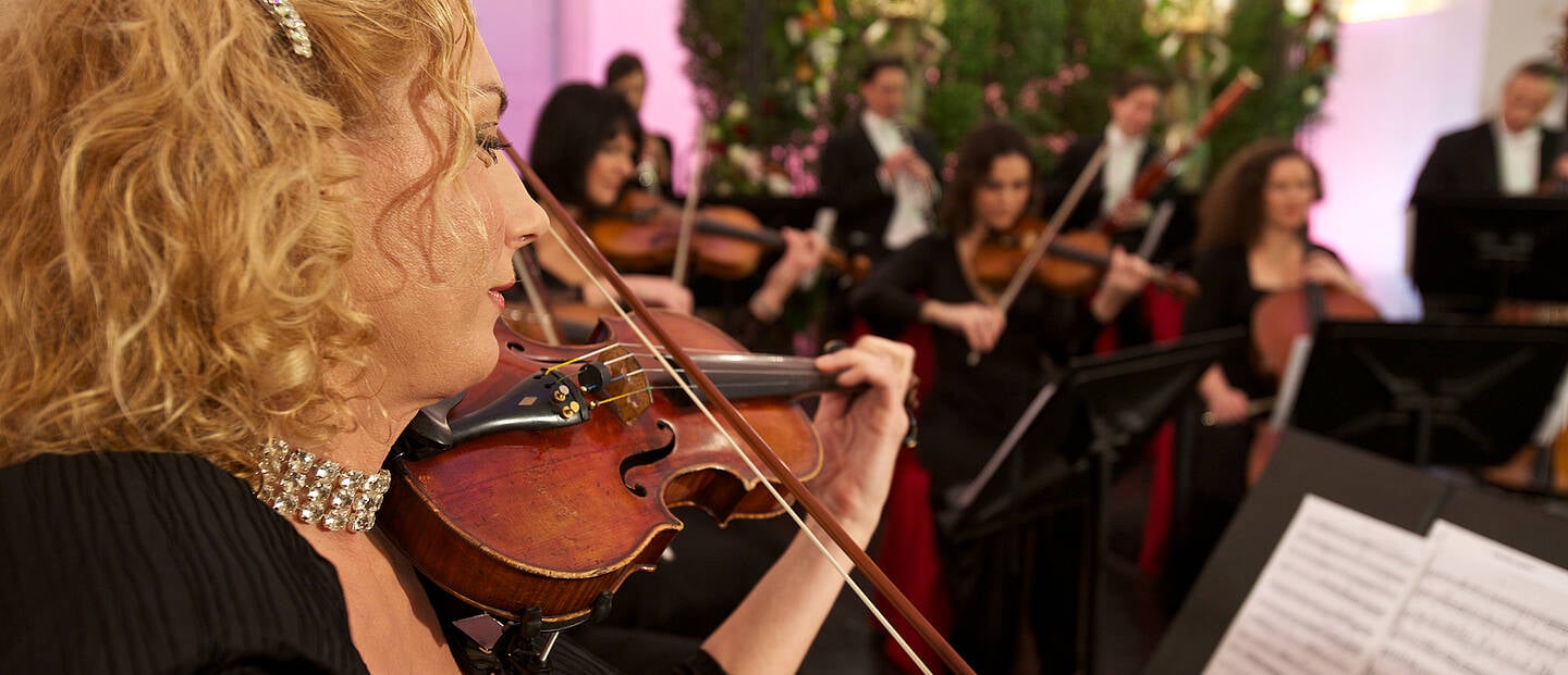 Conciertos en el Palacio de Schonbrunn - Imagen 3
