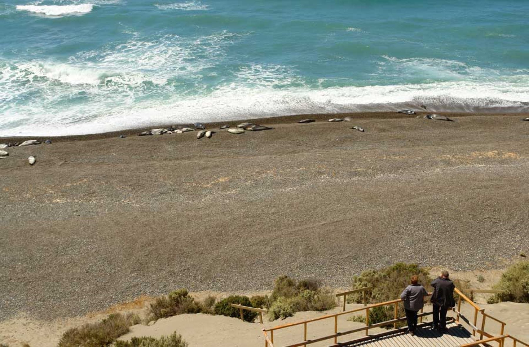 Peninsula Valdes with Whale Watching - Imagen 4