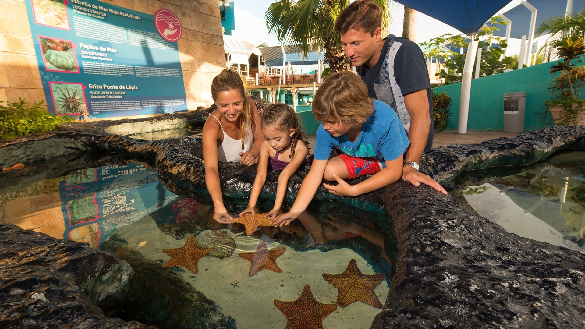 Entrada Acuario Interactivo Cancún - Imagen 2