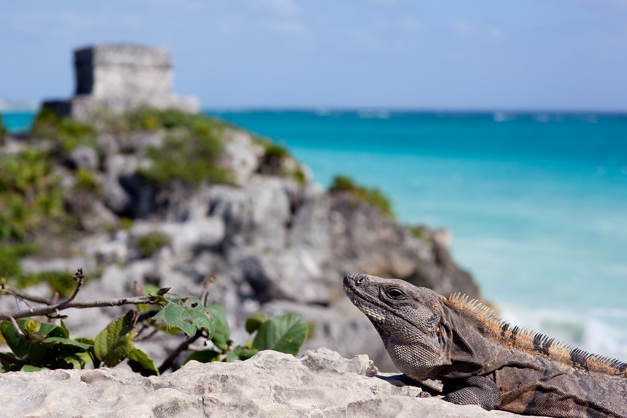 Tour 3x1: Tulum, Cobá y Cenote - Imagen 2