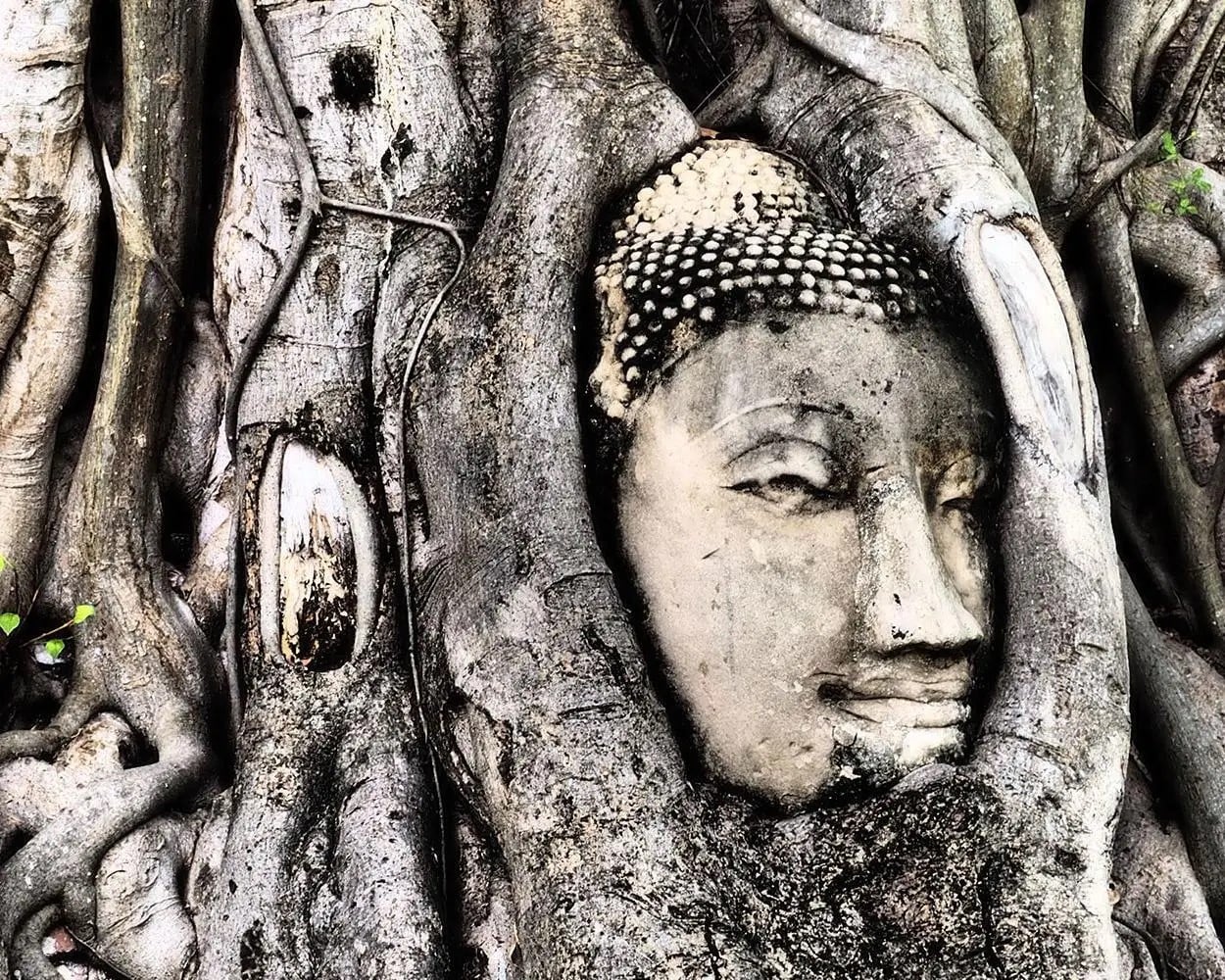 Lo más destacado de Ayutthaya en bicicleta - Imagen 4