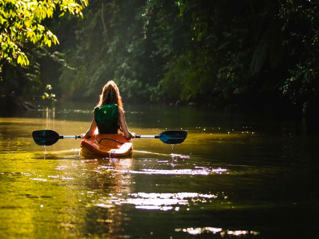 Kayak en el bosque para Thor - Imagen 4