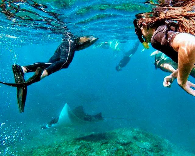 Snorkel con mantarrayas en Nusa Penida - Imagen 4