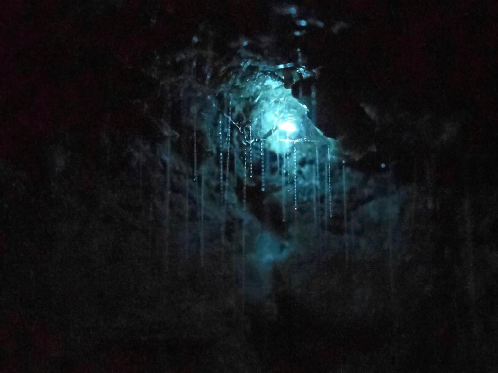 Gusanos luminosos del Puente Natural - Imagen 4