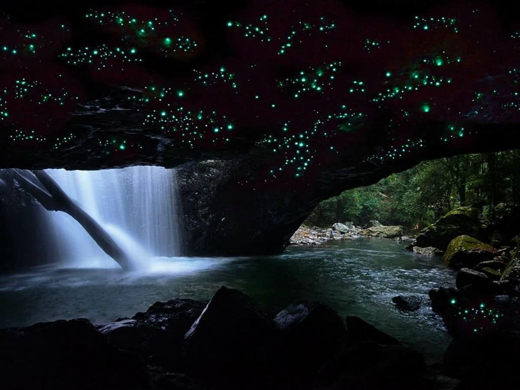 Gusanos luminosos del Puente Natural - Imagen 3