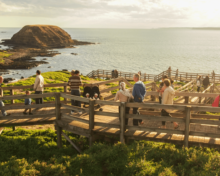 Santuario Healesville y Phillip Island - Imagen 3