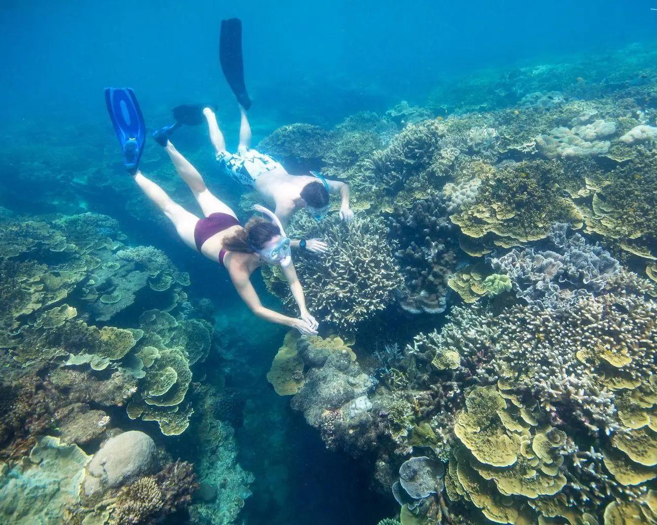 Helicóptero 10 minutos y buceo de bautismo - Imagen 4
