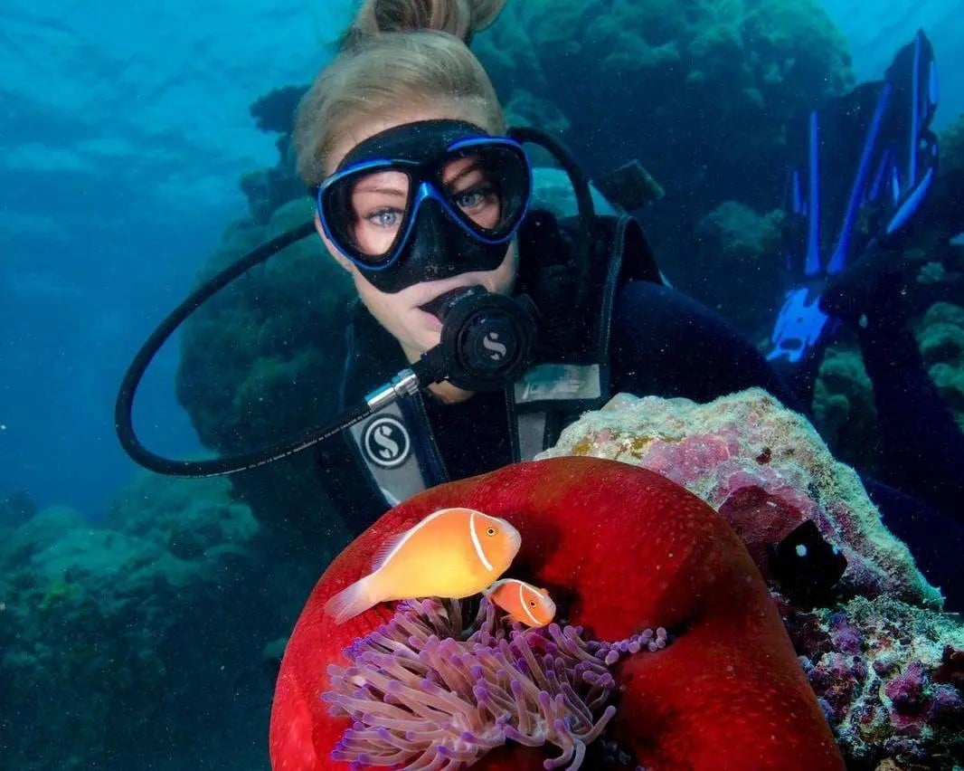 Helicóptero 10 minutos y buceo de bautismo - Imagen 2