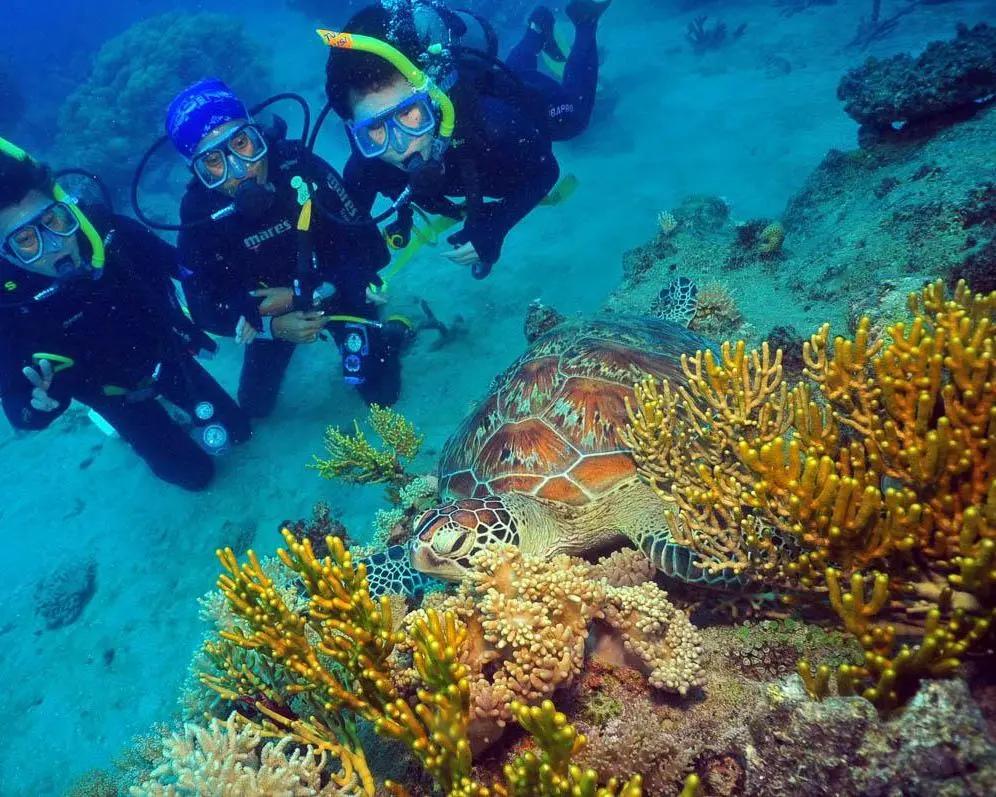 Green Island con Great Adventures - Imagen 4