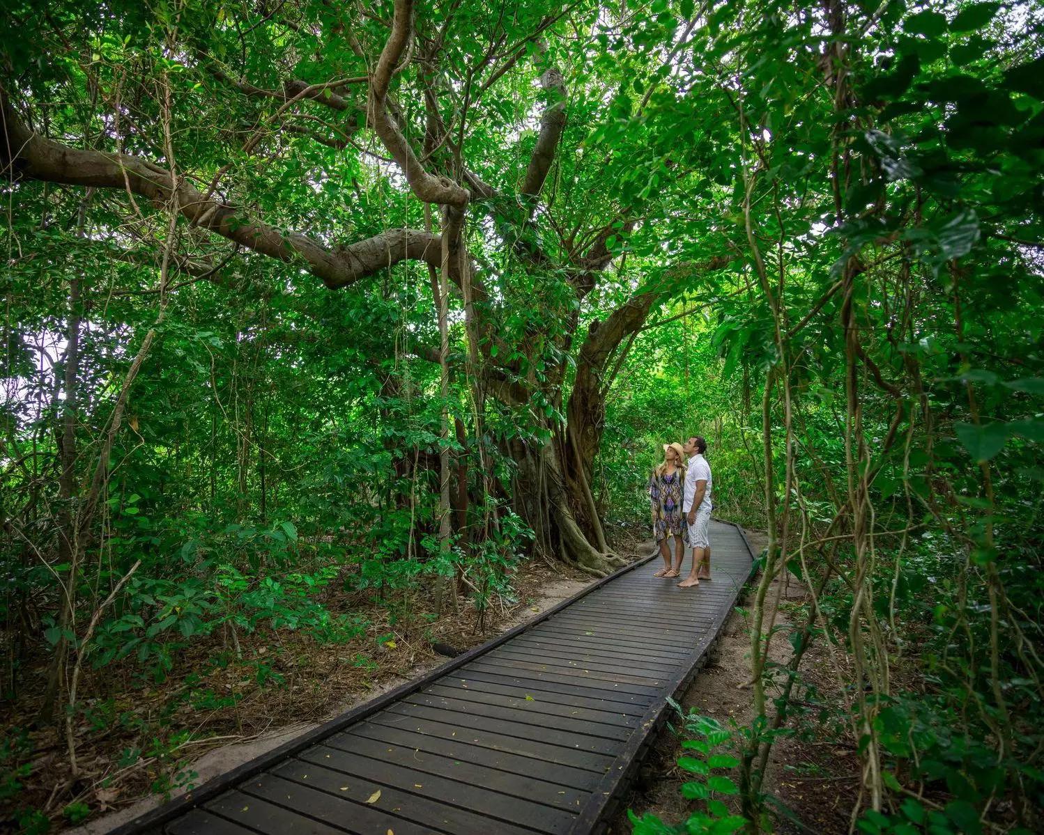 Green Island con Great Adventures - Imagen 3