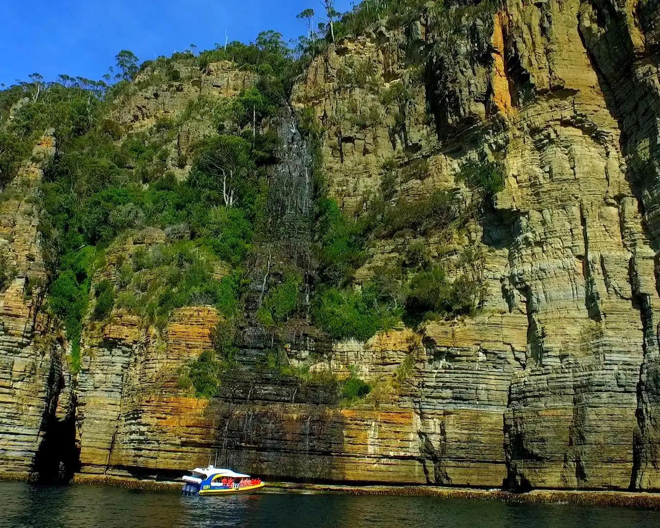 Tasman Island Cruises: día desde Hobart - Imagen 4