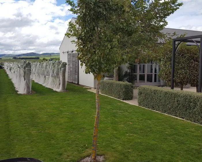 Martinborough Foodie Half Day Tour - Imagen 4