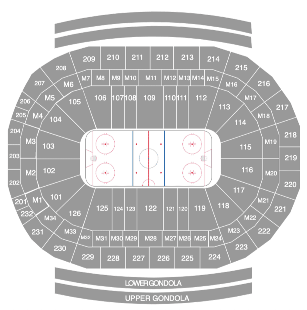 Hockey sobre hielo: Detroit Red Wings - Imagen 2