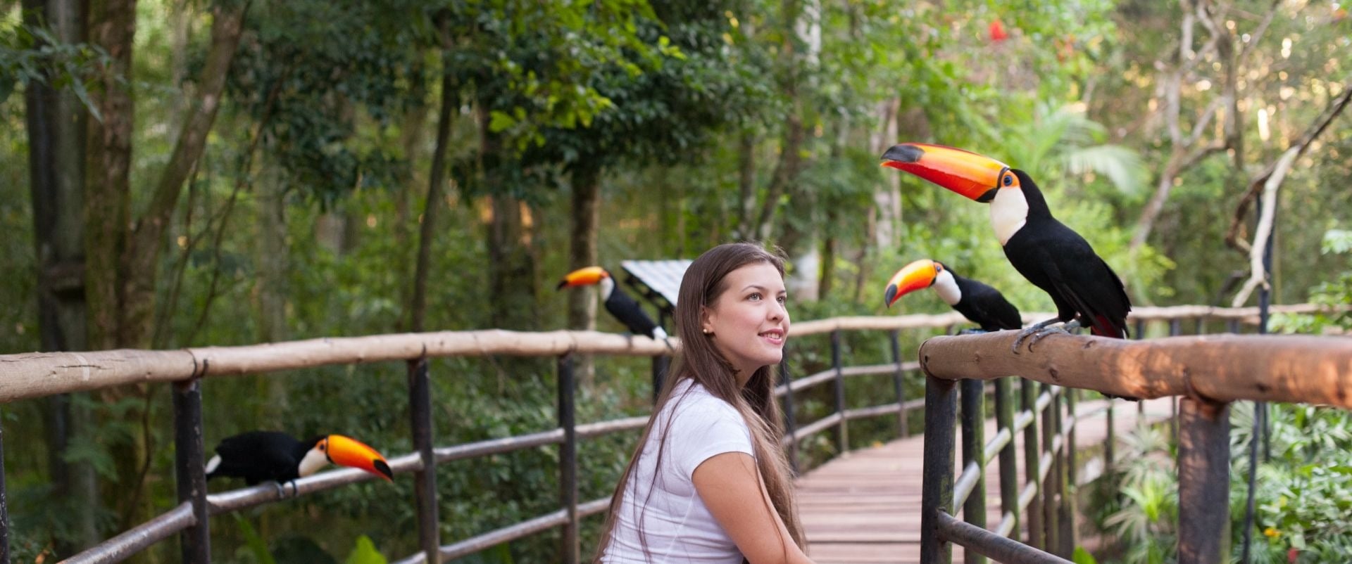 Cataratas y Parque de las Aves con traslado - Imagen 4