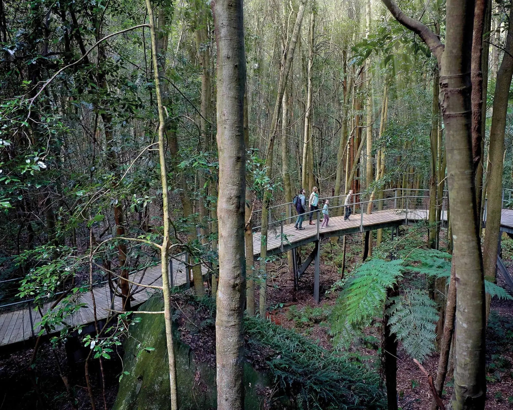 Scenic World: pase Ultimate Discovery - Imagen 4
