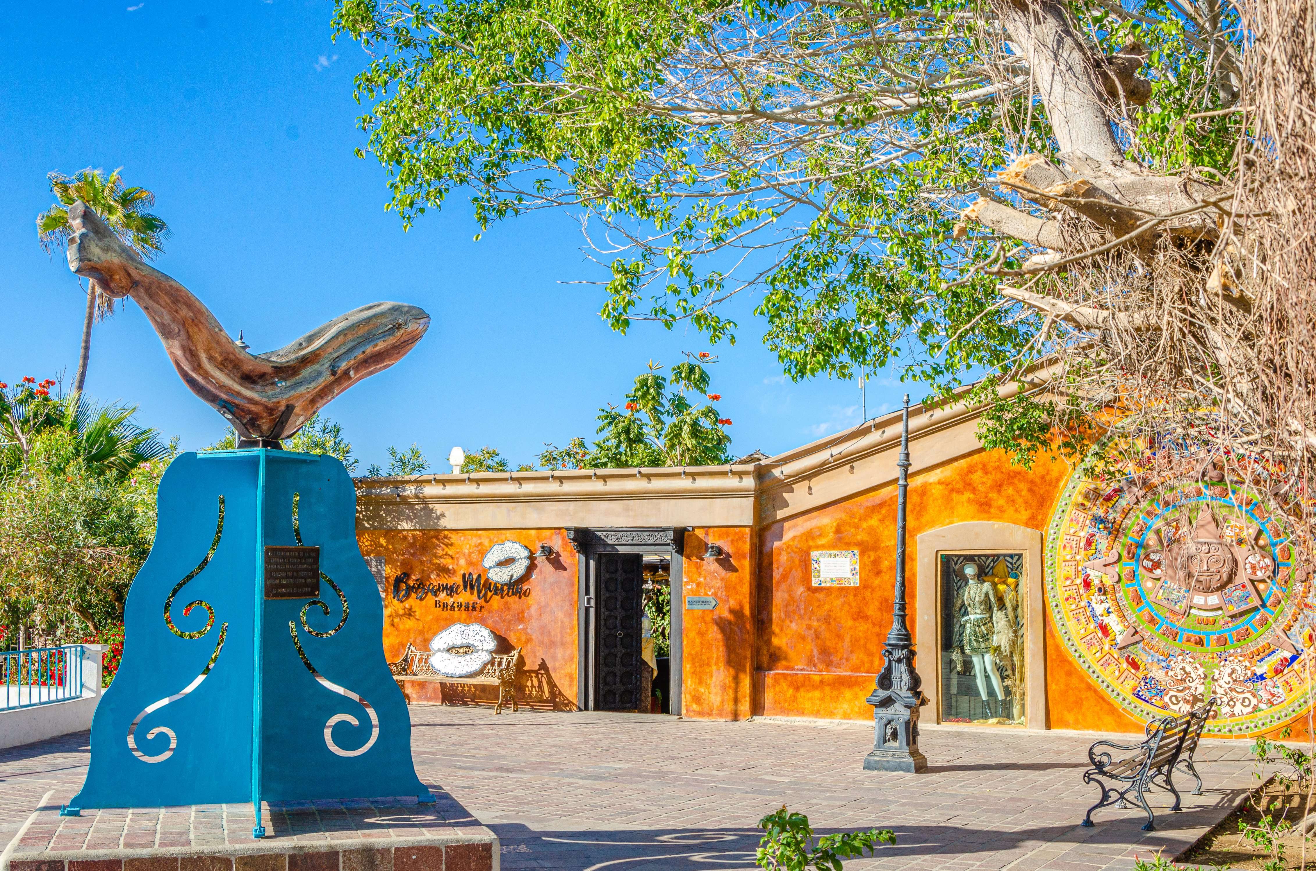 Tour por la ciudad de Todos Santos - Imagen 2