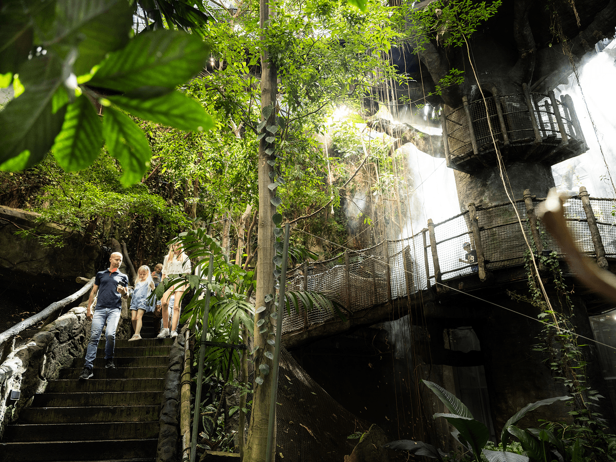 Go City Gotemburgo: pase All Inclusive - Imagen 3