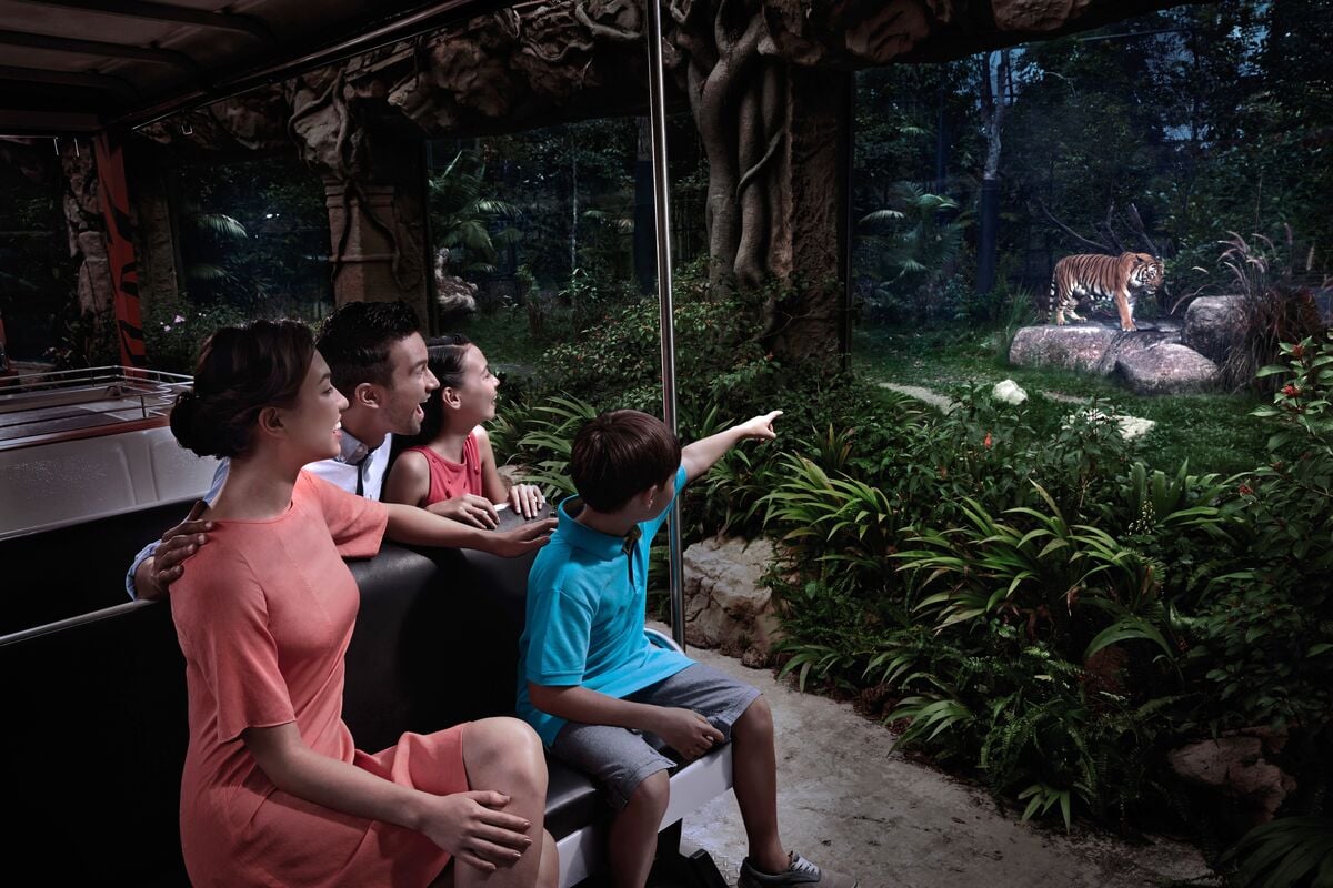 Singapur All Inclusive con Go City - Imagen 4