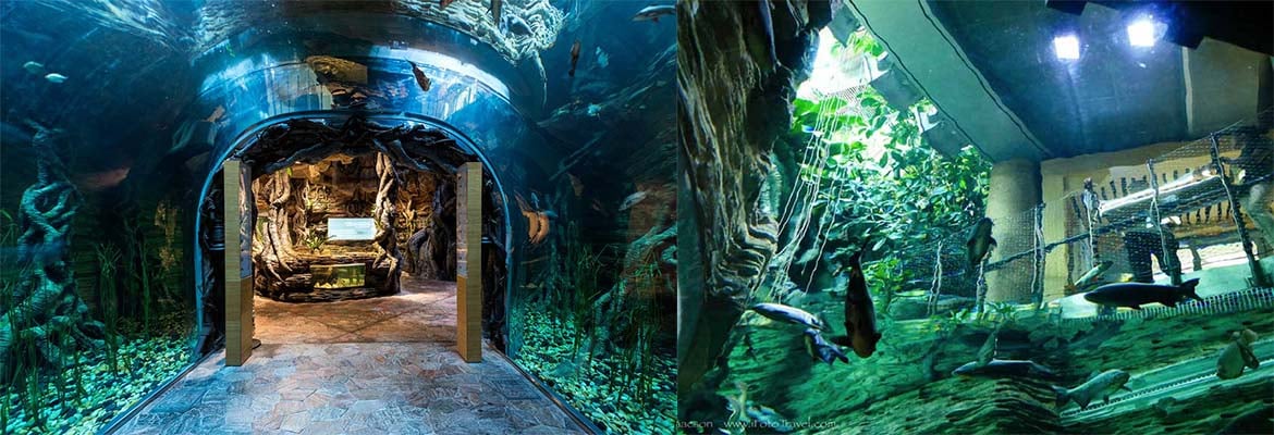 Green Planet Pass Ticket - Imagen 2