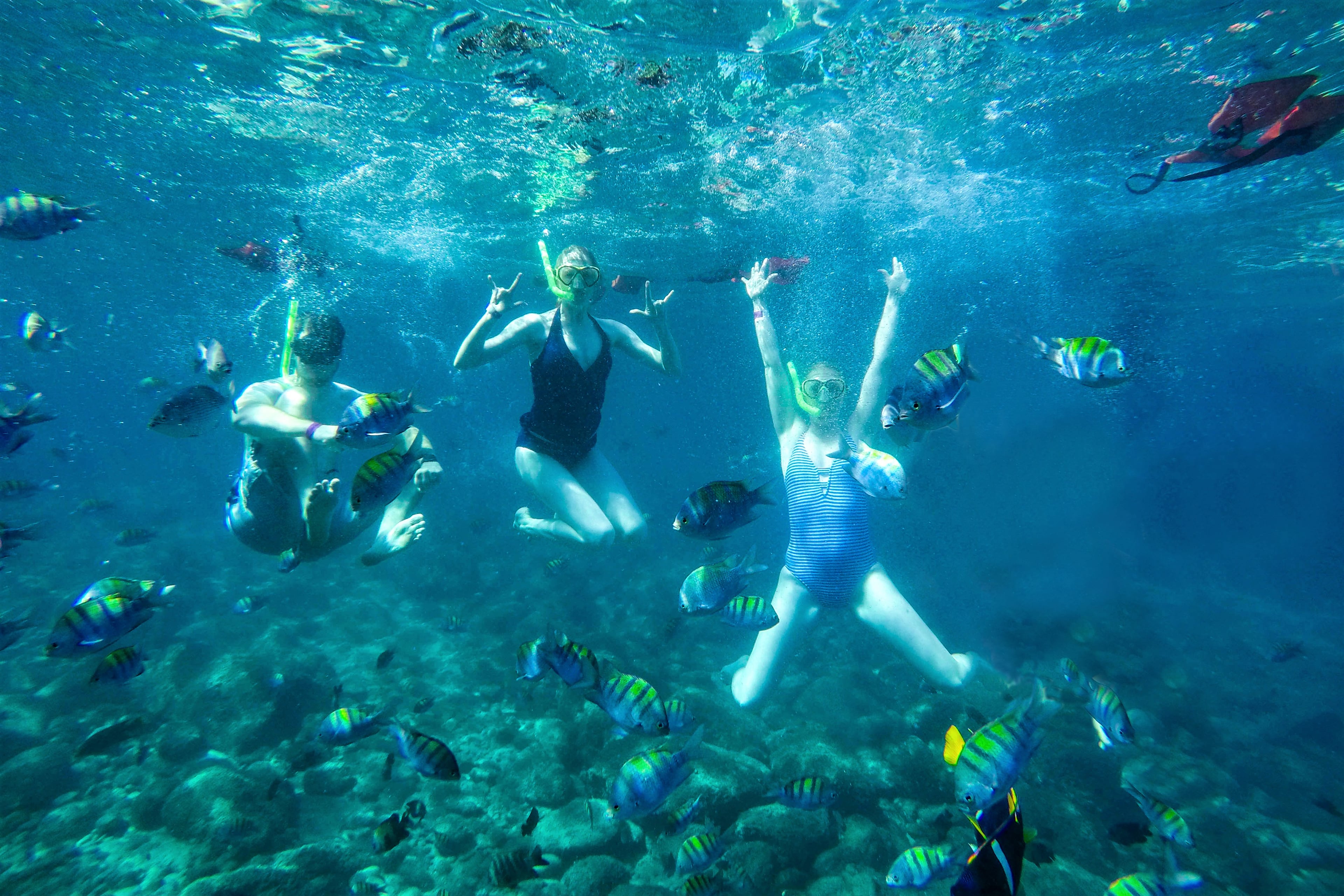 Tour a Yelapa y Majahuitas - Imagen 4