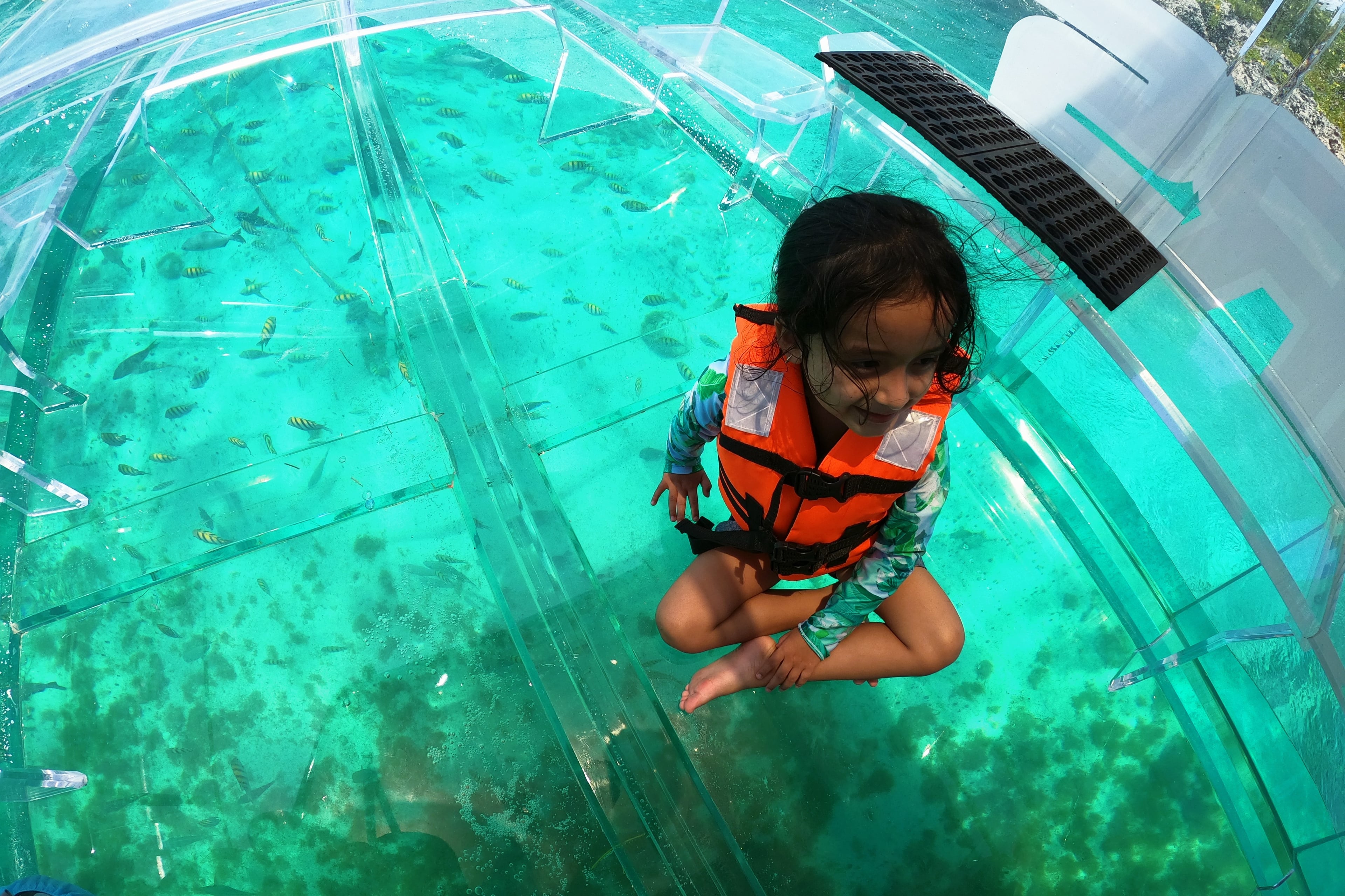 Clear boat en Isla Mujeres - Imagen 3