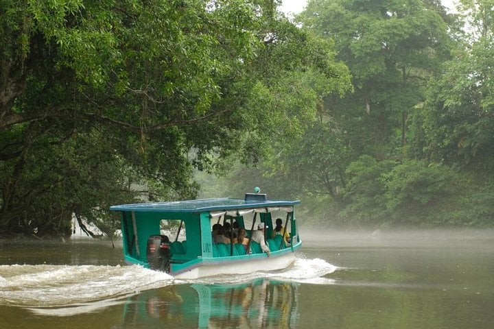 Safari en barco en el Sarapiquí con almuerzo - Imagen 2