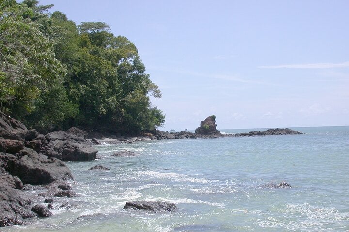 Manuel Antonio desde San José: día completo - Imagen 4