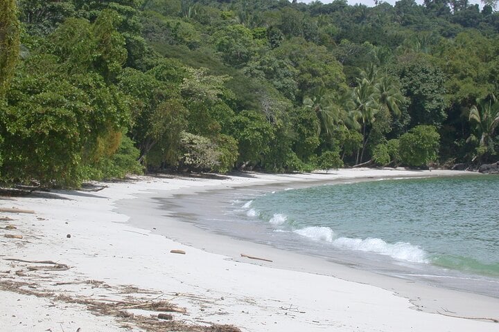 Manuel Antonio desde San José: día completo - Imagen 2