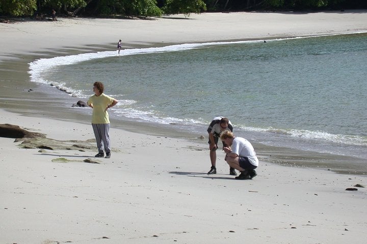 Manuel Antonio desde San José: día completo - Imagen 3